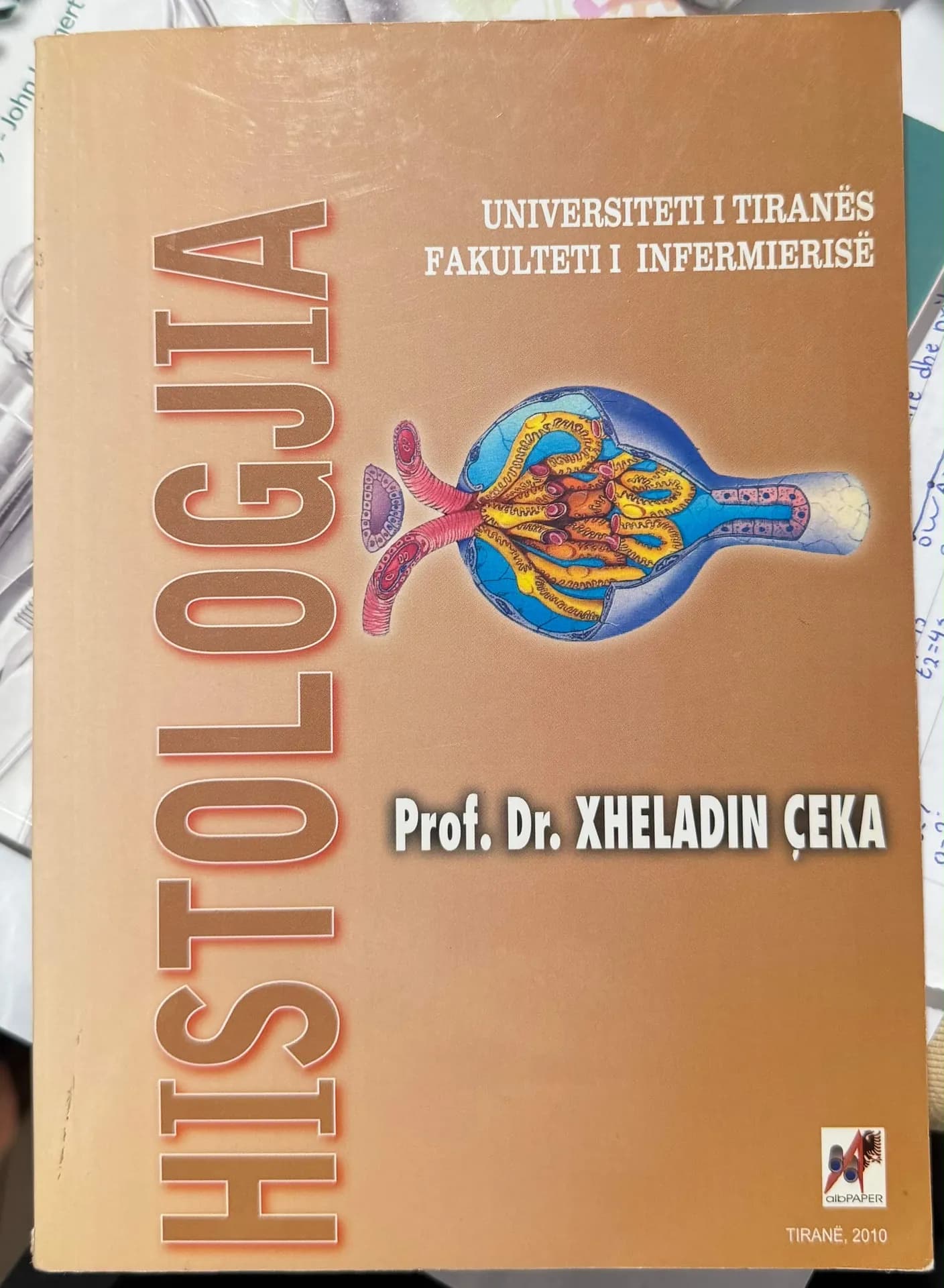 Histologjia, foto 1