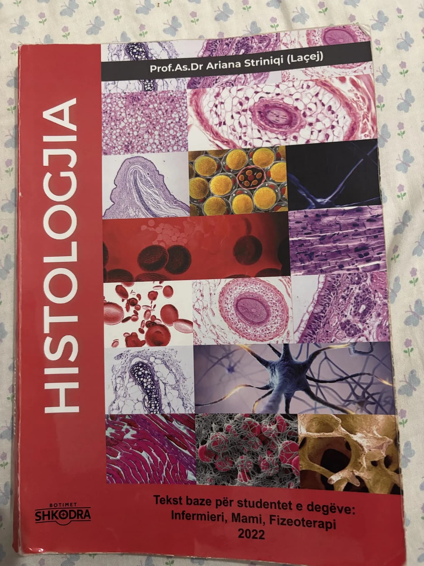 Histologjia, foto 1