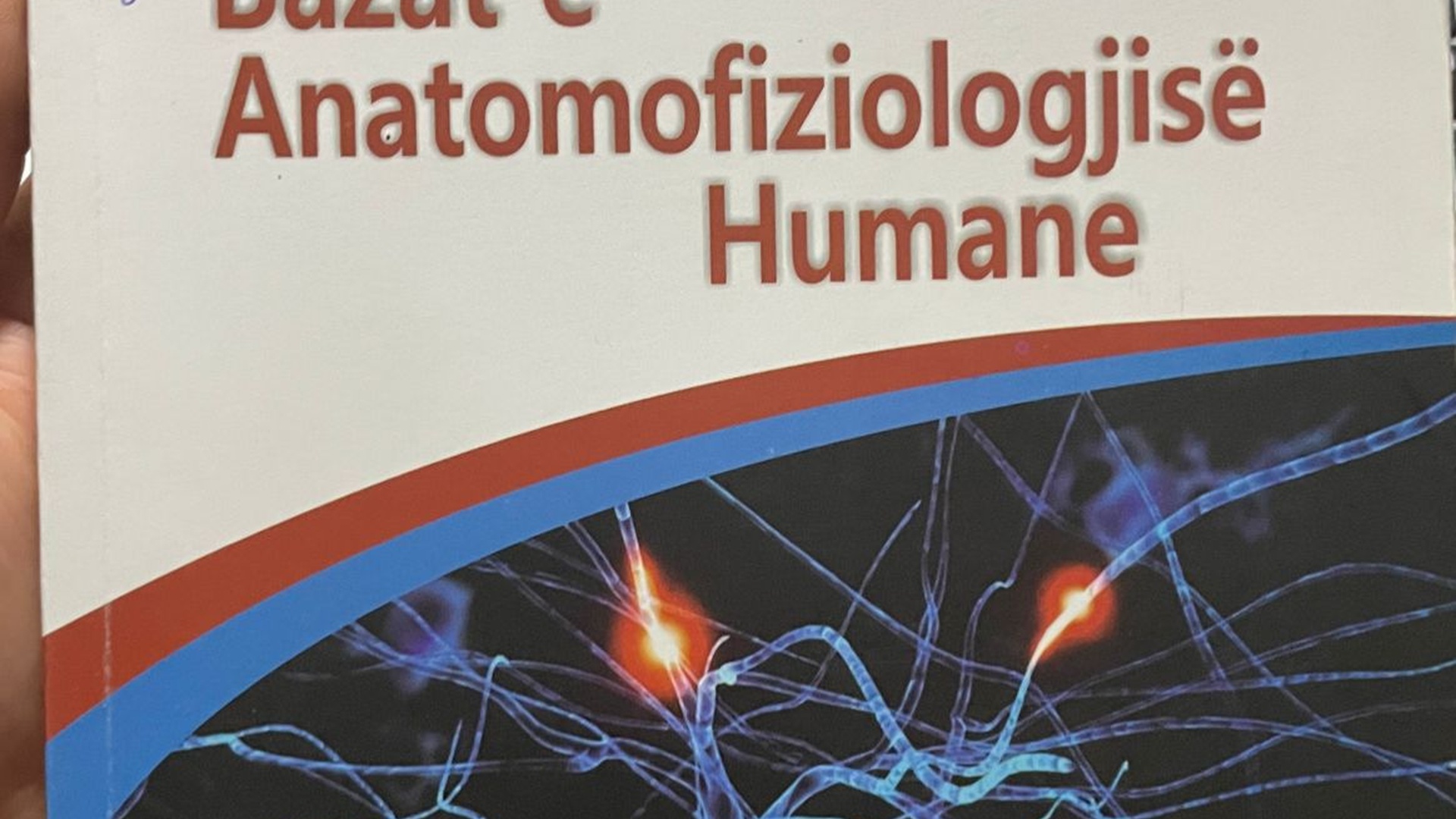 bazat e anatomofiziologjise humane